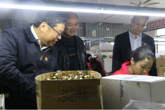 太阳集团2138网址